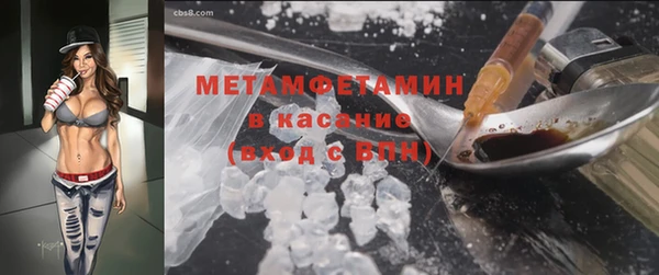 хмурый Аркадак
