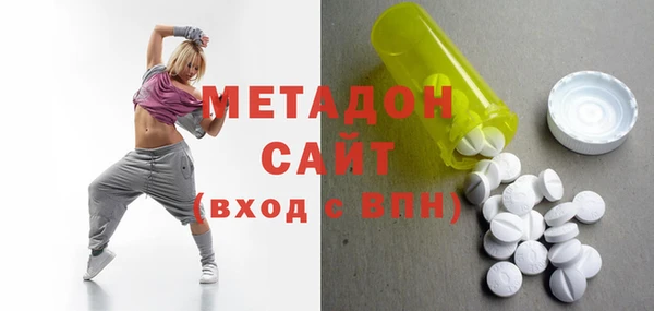 хмурый Аркадак