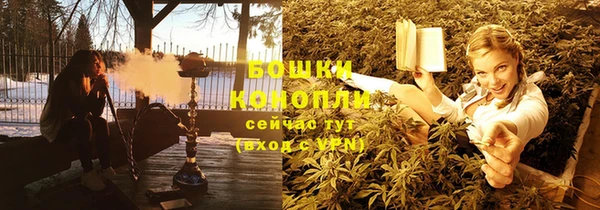 хмурый Аркадак