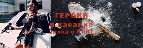 хмурый Аркадак