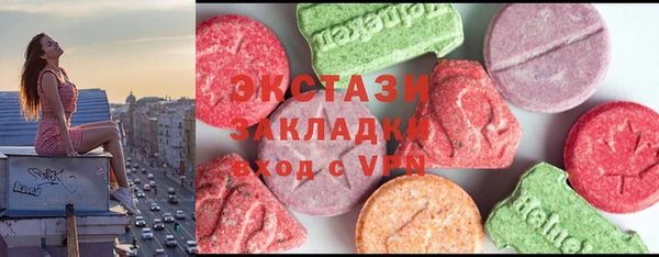 хмурый Аркадак
