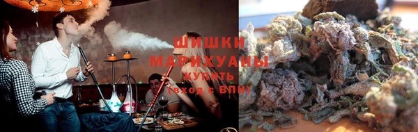 хмурый Аркадак